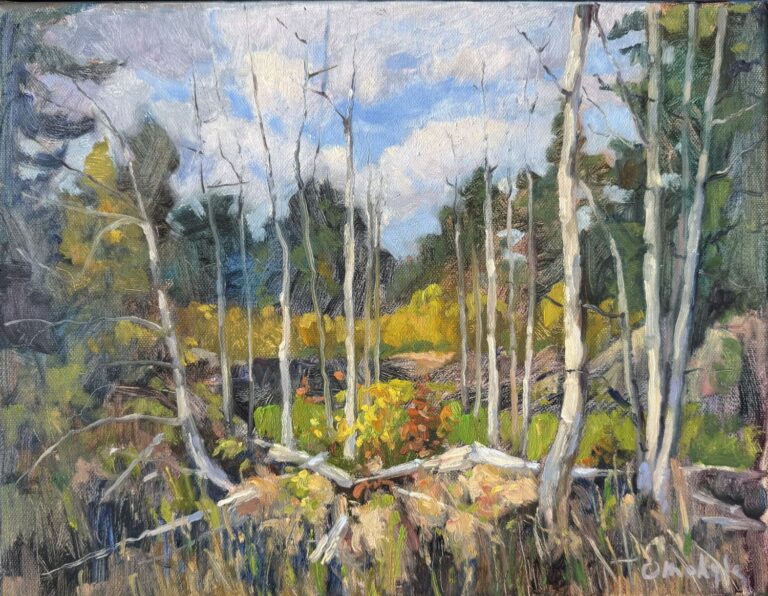 9x12 oil on canvas alla prima painting called "A sunny day in Muskoka"